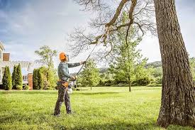 Best Lot and Land Clearing  in Lake Dallas, TX
